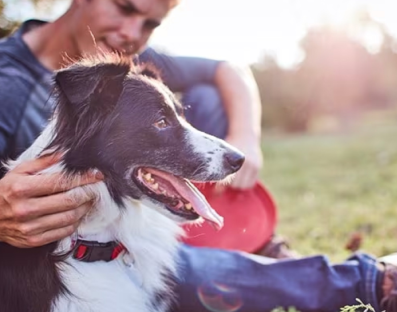 A man petting his pet dog