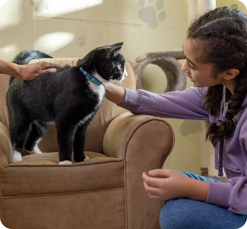 Women stroking a black and white cat