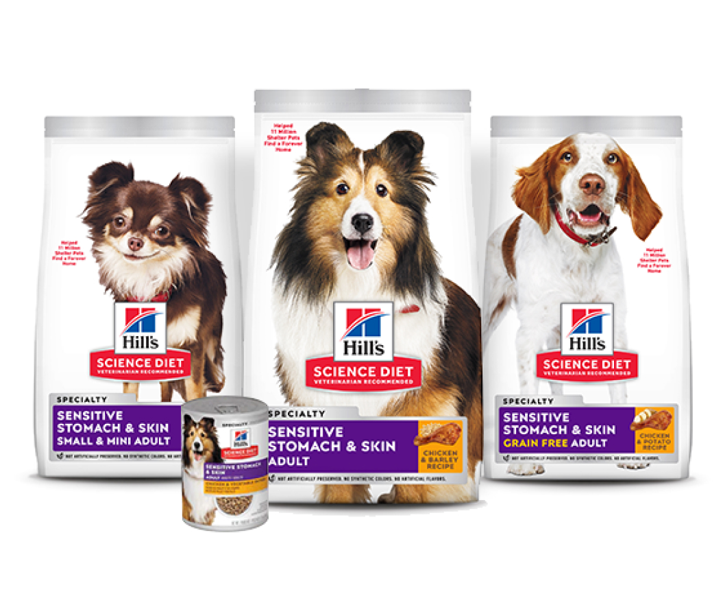Digestive health dog foods