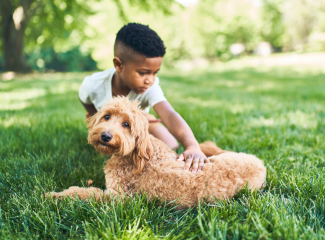 A small kid pets a brown furry dog sitting in the grass