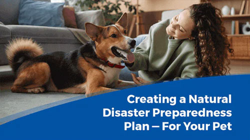 Photo of girl petting dog in the grass